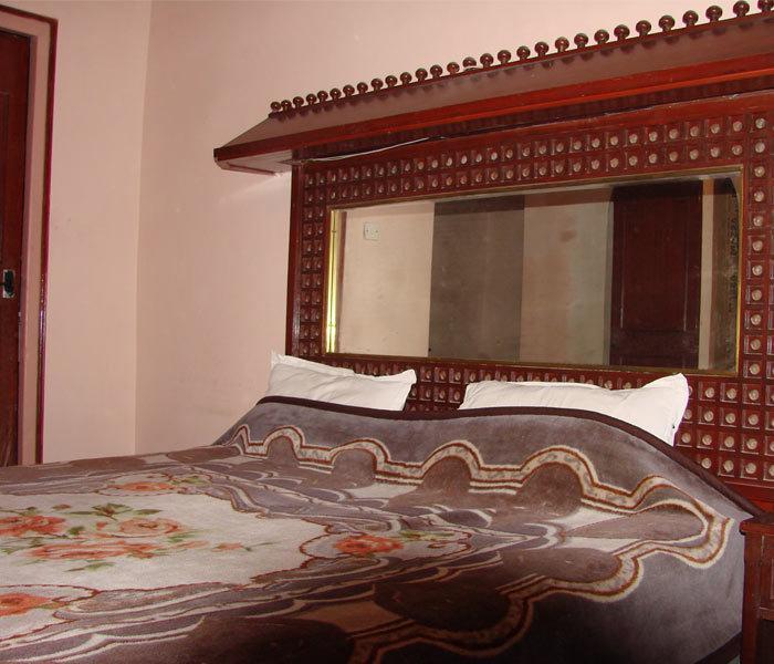 Hotel Krishna Palace Нью-Делі Номер фото